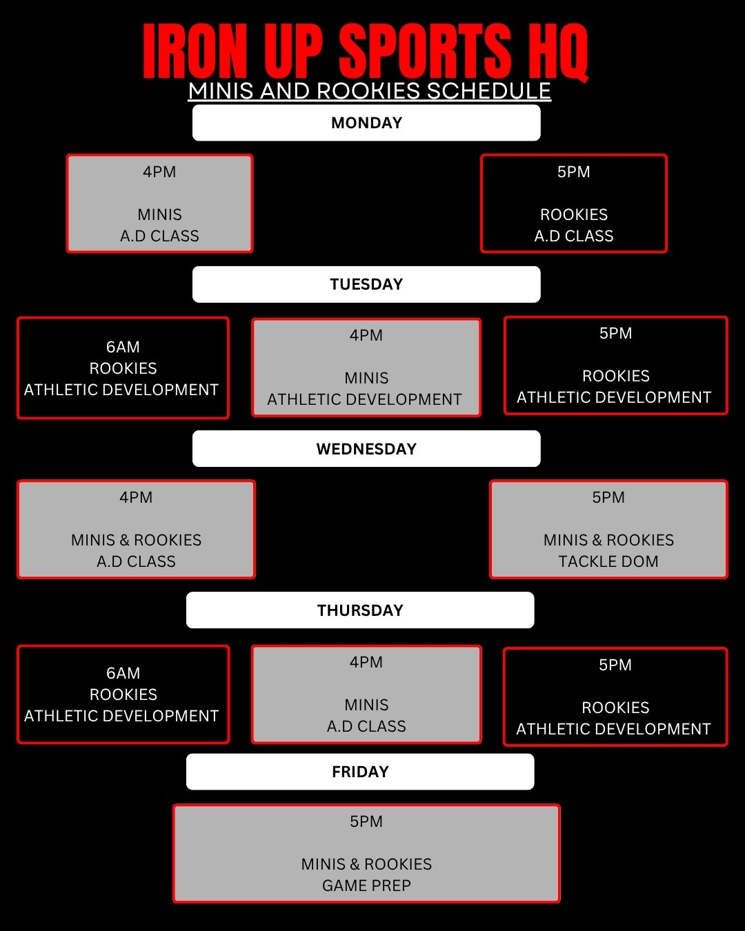Minis Rookie s - Term 2 2026